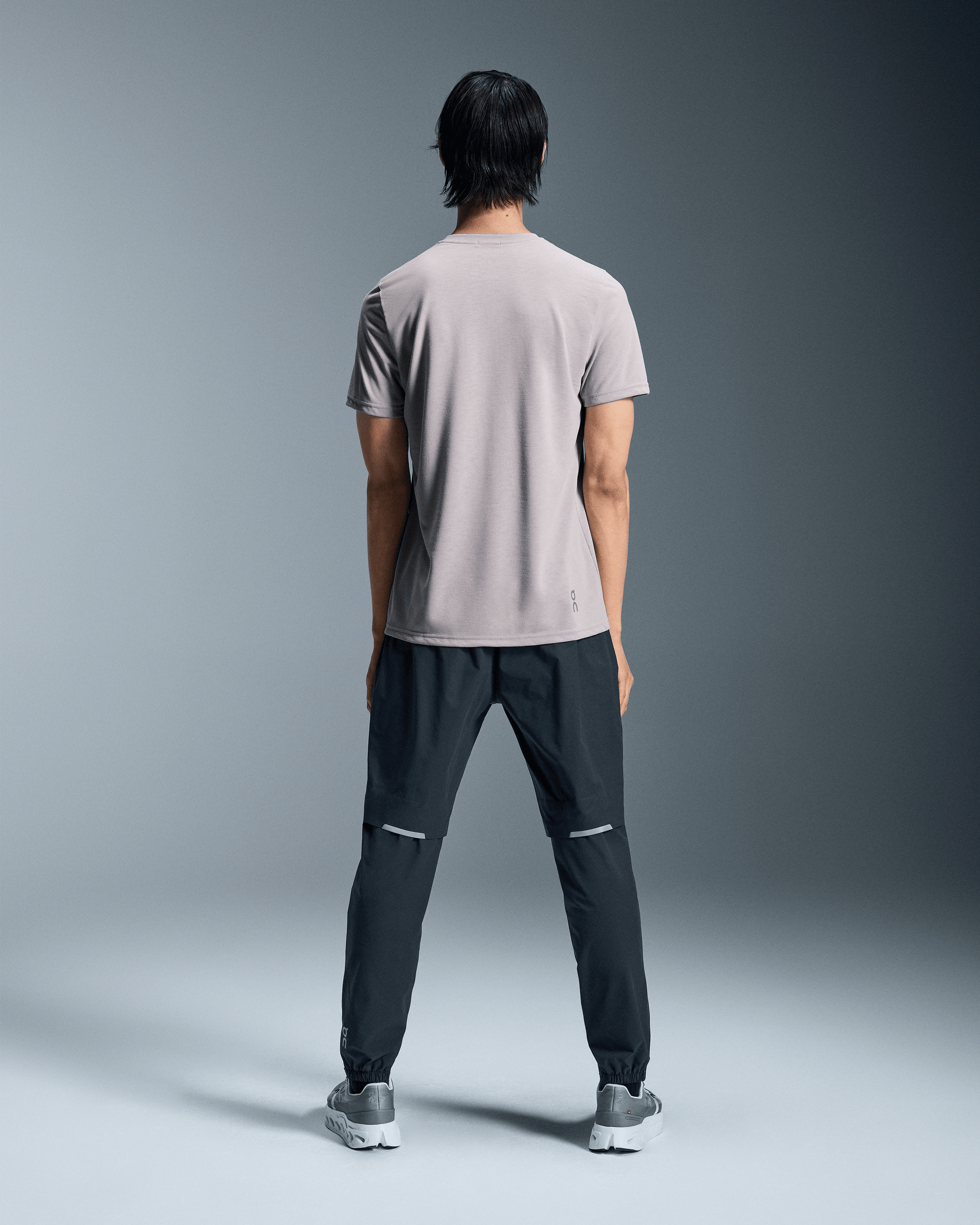 alt1