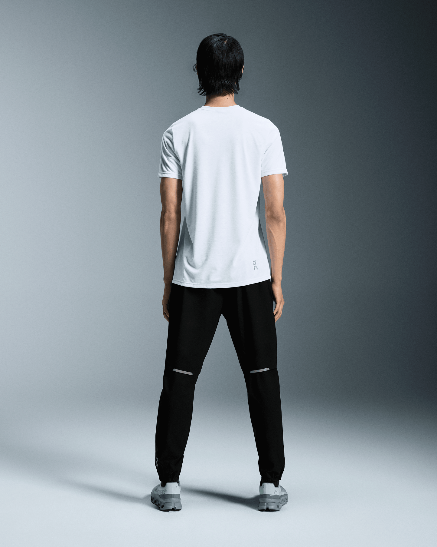alt1