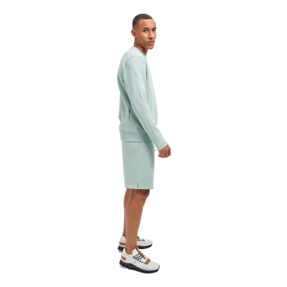 alt1